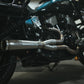 Indian Chief